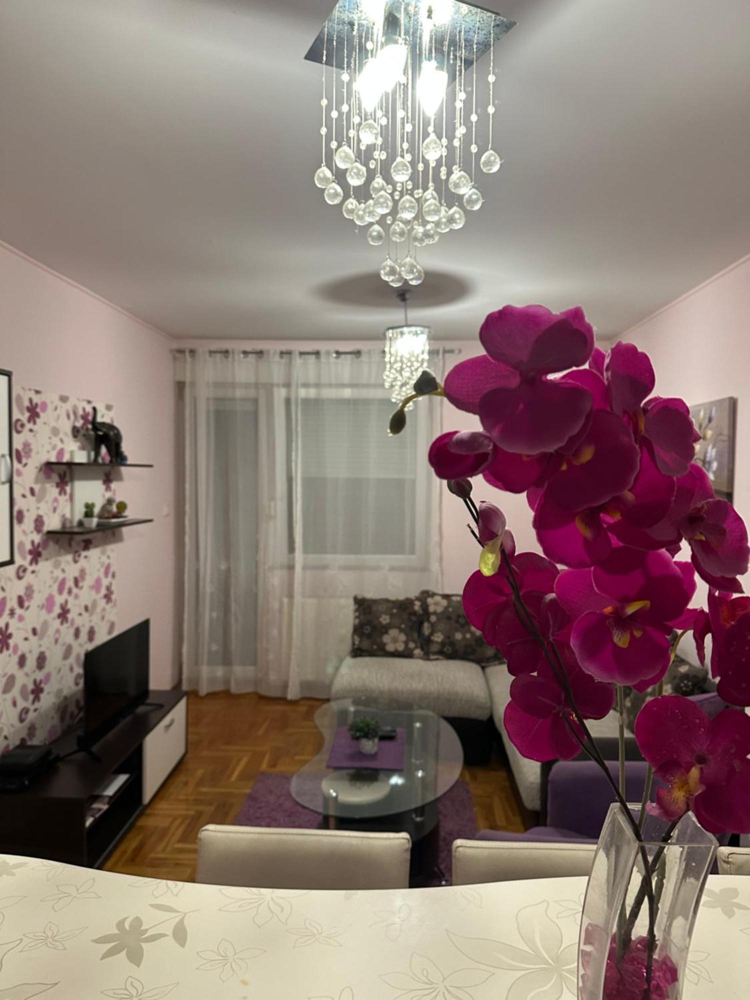 Apartman Ivana Apartment Novi Sad Exterior photo
