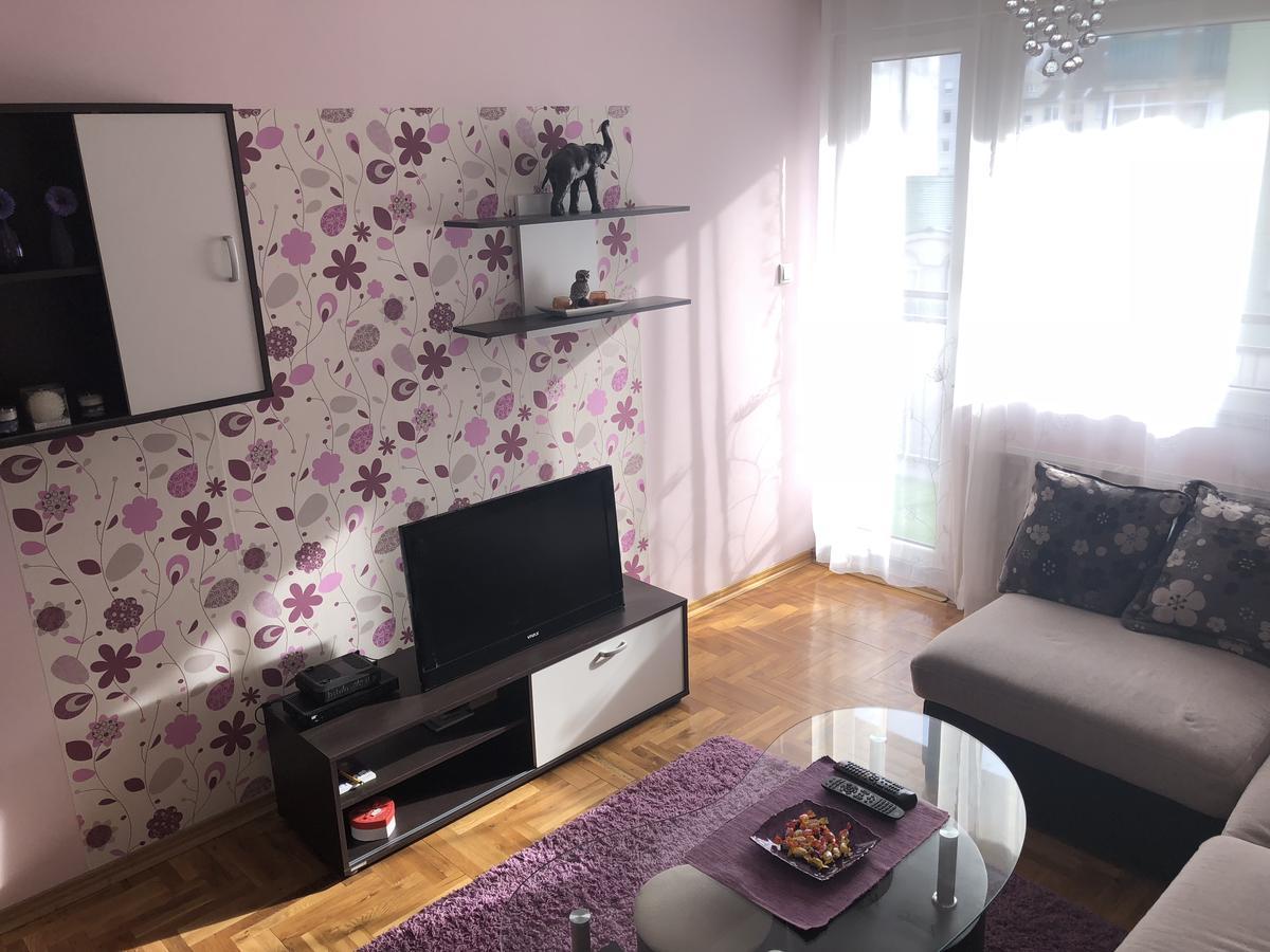 Apartman Ivana Apartment Novi Sad Exterior photo